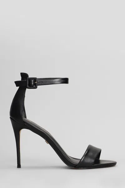 Carrano Sandals In Black
