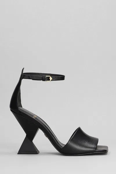 Carrano Sandals In Black