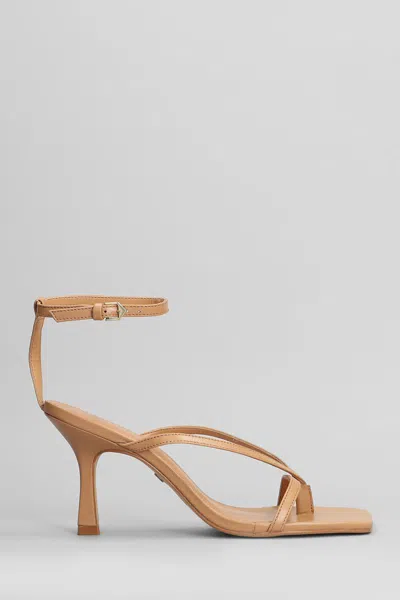 Carrano Sandals Color In Brown