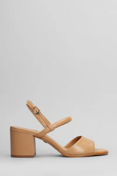 Carrano Sandals Color In Leather Color