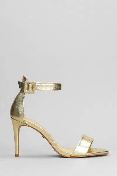 Carrano Sandals In Gold