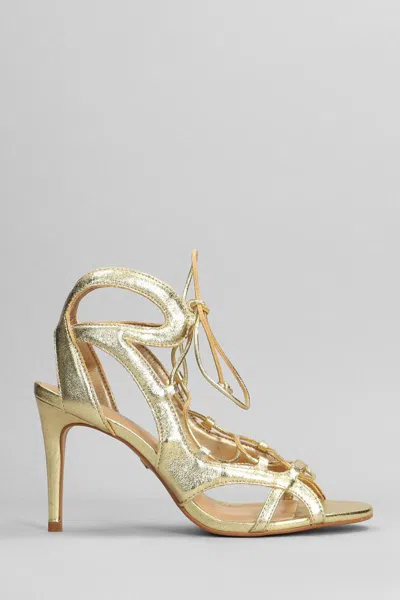 Carrano Sandals In Gold