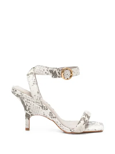 Carrano Snake-effect Buckle-fastening Sandals In Animal Print