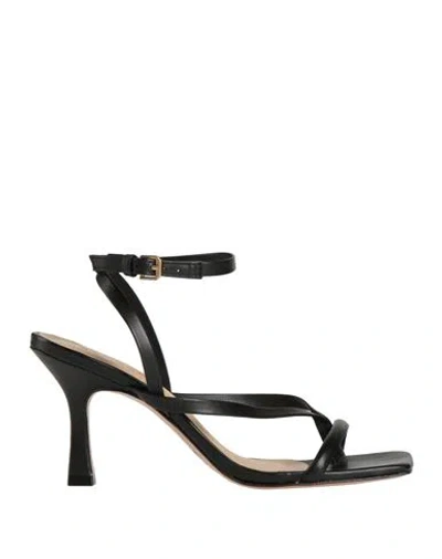 Carrano Woman Toe Strap Sandals Black Size 5 Soft Leather