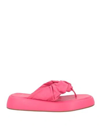 Carrano Woman Thong Sandal Fuchsia Size 5 Leather In Pink