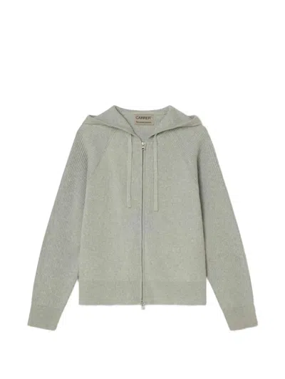 Carrer Matti Zip-up Hoodie In Gray