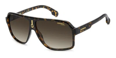 Carrera 1001/s 086/ha Men's Sunglasses Tortoiseshell Size 62 In Brown