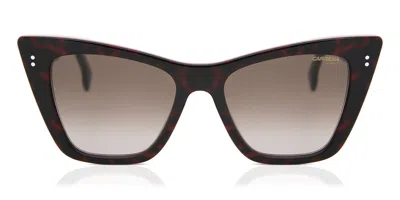 Carrera 1009/s 086/ha Women's Sunglasses Tortoiseshell Size 52 In Brown