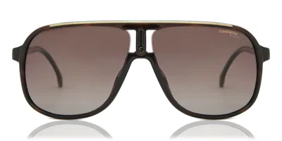 Carrera 1047/s 086/la Men's Sunglasses Tortoiseshell Size 62 In Brown
