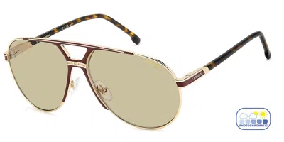 Carrera 1089/s Noa/8j Men's Sunglasses Gold Size 64 In Gold Burgundy Laminate