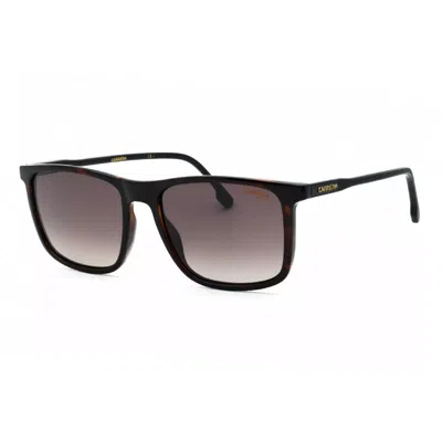 Carrera 231/s 0086 Ha Havana/brown Gradient In Black