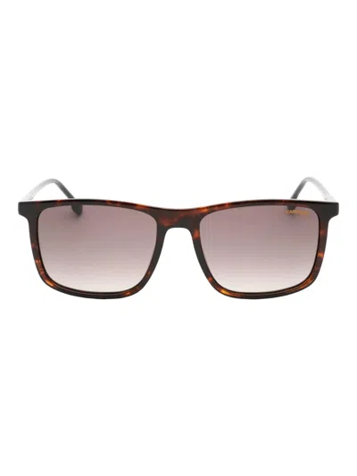 Carrera 231/s Men's Dark Havana Frame Brown Square 55-18-145 Sunglasses