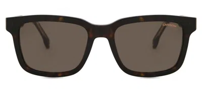 Carrera 251/s 086/70 Occhiali Da Sole Tartarugatishell Per Uomo In Brown