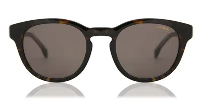 Carrera 252/s 086/70 Occhiali Da Sole Tartarugatishell Per Uomo In Black