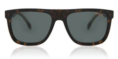Carrera 267/s 086/qt Occhiali Da Sole Tartarugatishell Per Uomo In Multi