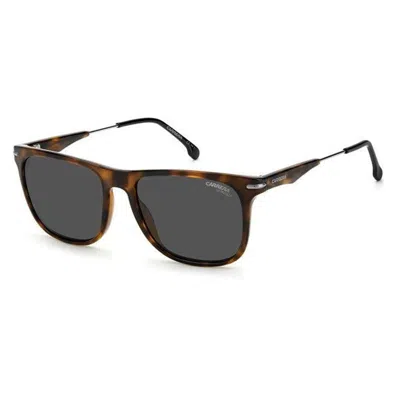 Carrera 276/s 086/ir Havana/dark Grey In Brown