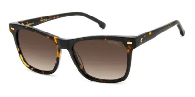 Carrera 3001/s 086/ha Women's Sunglasses Tortoiseshell Size 54 In Brown