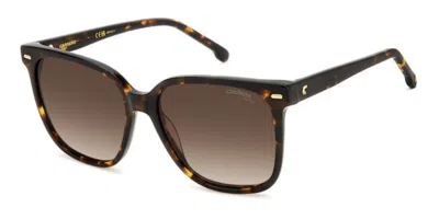 Carrera 3002/s 086/ha Women's Sunglasses Tortoiseshell Size 55 In Burgundy