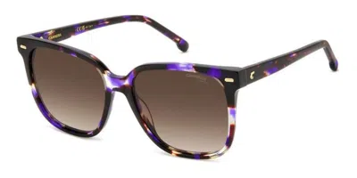 Carrera 3002/s Hkz/ha Women's Sunglasses Tortoiseshell Size 55 In Brown