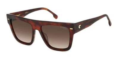 Carrera 3016/s Ex4(ha) In Brown