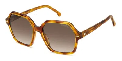 Carrera 3026/s 086/ha Women's Sunglasses Tortoiseshell Size 56 In Brown