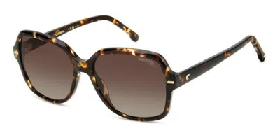 Carrera 3028/s Polarized Wr9/la Women's Sunglasses Tortoiseshell Size 55 In Brown