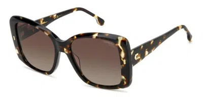 Carrera 3030/s Polarized Wr9/la Women's Sunglasses Tortoiseshell Size 56 In Brown