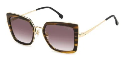 Carrera 3031/s Ex4/3x Women's Sunglasses Brown Size 53