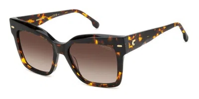 Carrera 3037/s 086/ha Women's Sunglasses Tortoiseshell Size 54 In Brown