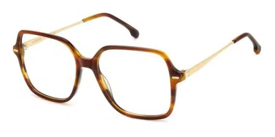Carrera 3038 Women's Glasses, Brown, Size 55 In Blue