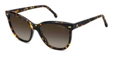 Carrera 3043/s 086/ha Women's Sunglasses Tortoiseshell Size 56 In Brown