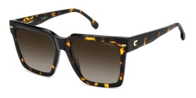 Carrera 3067/s 086/ha Women's Sunglasses Tortoiseshell Size 56 In Brown