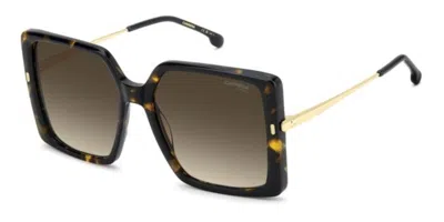 Carrera 3070/s 2ik/ha Occhiali Da Sole Tartarugatishell Per Donna In Brown