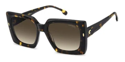 Carrera 3072/s 086/ha Occhiali Da Sole Tartarugatishell Per Donna In Brown