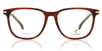 Carrera 308 Men's Glasses, Brown, Size 53