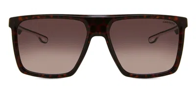 Carrera 4019/s 086/ha Men's Sunglasses Tortoiseshell Size 58 In Brown