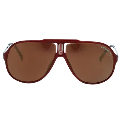 Carrera 5590 31 In Brown