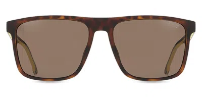 Carrera 8064/s N9p/70 Men's Sunglasses Tortoiseshell Size 57 In Brown