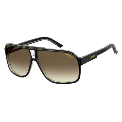 Carrera Black Acetate Sunglasses In Brown