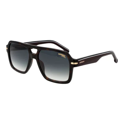 Carrera Brown Acetate Sunglasses In Black