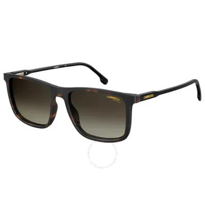 Carrera Brown Gradient Square Unisex Sunglasses  231/s 0086/ha 55