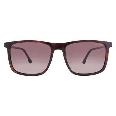 Carrera Brown Gradient Square Unisex Sunglasses  231/s 0086/ha 55 In Pink