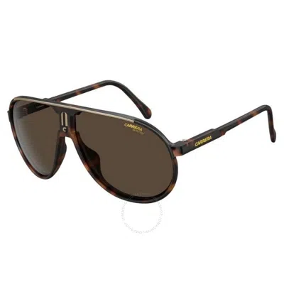Carrera Brown Pilot Unisex Sunglasses Champion/n 0086/70 62