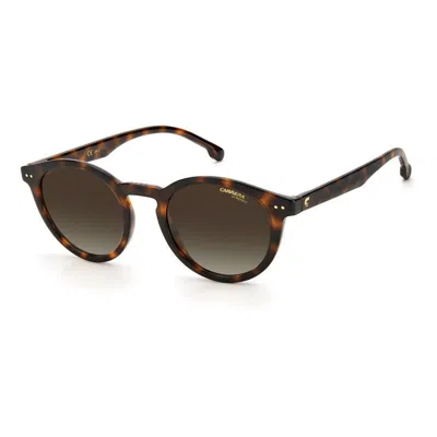 Carrera 2029t/s 086(ha) In Brown