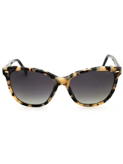 Carrera 3043/s Sunglasses In White Havana/grey Sf Pz