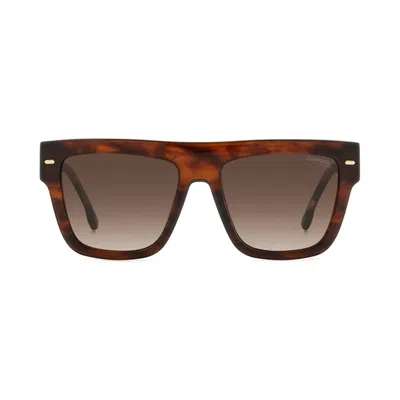 Carrera 3016/s Ex4(ha) In Brown