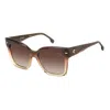 Carrera 3037/s 0my(ha) In Brown