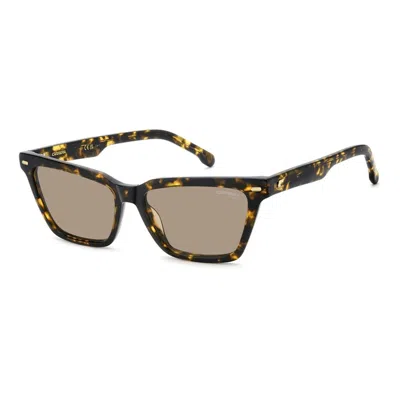 Carrera 3083/s 086(70) In Brown