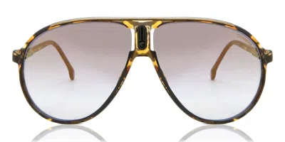 Carrera Champion65 Wr9/fq Occhiali Da Sole Tartarugatishell Per Uomo In Multi