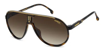 Carrera Champion/s Wr9/ha Men's Sunglasses Tortoiseshell Size 62 In Brown